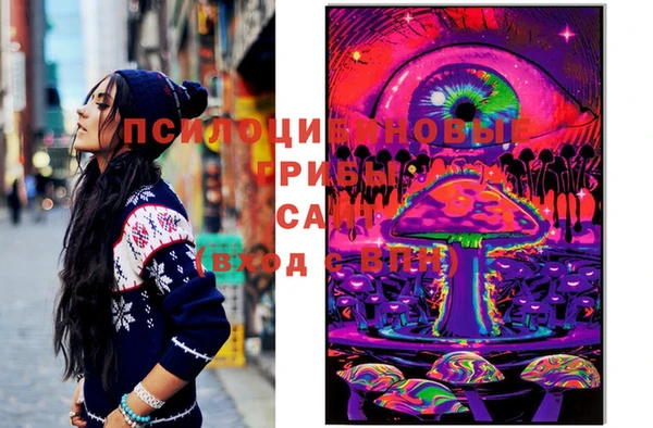 стафф Семикаракорск