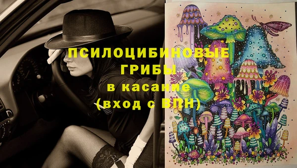 стафф Семикаракорск
