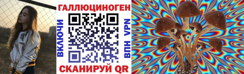 Псилоцибиновые грибы Psilocybine cubensis Агидель